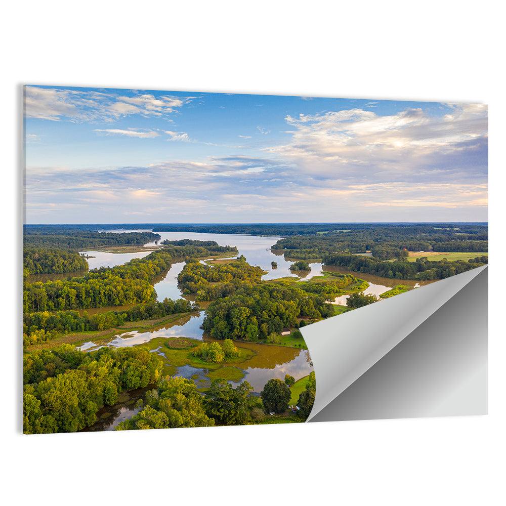 Lake Oconee Aerial Landscape Wall Art