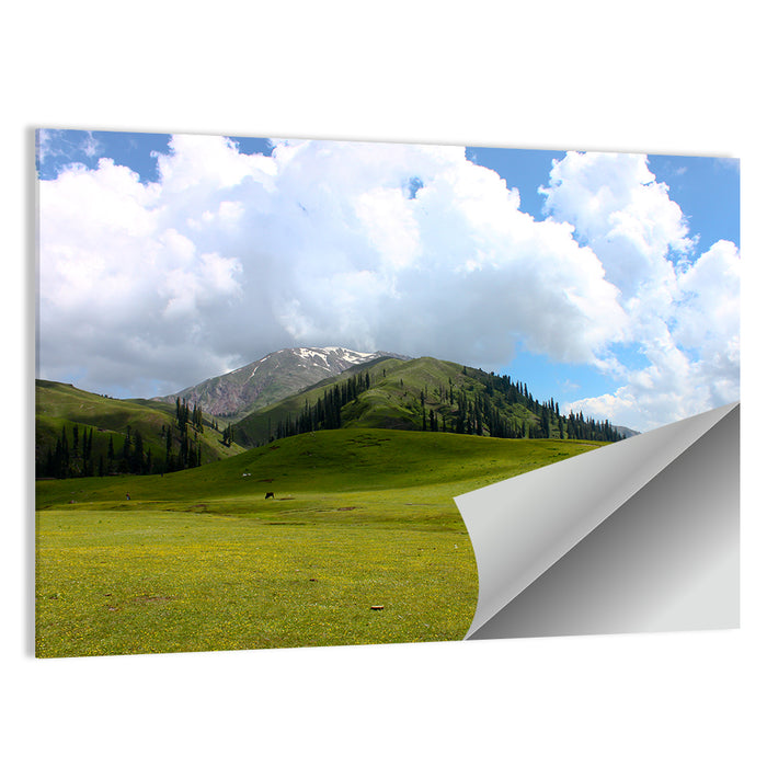 Seri Paya Mountain Meadow Wall Art as a poster print