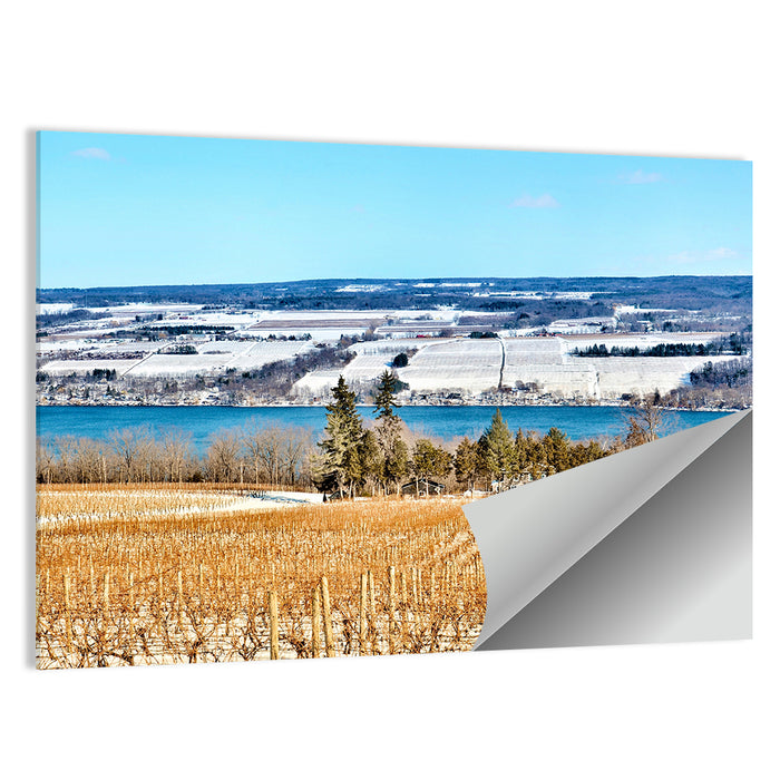 Seneca Lake Vineyard Wall Art as a poster print