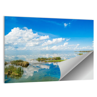 Lake Apopka Reflection Wall Art