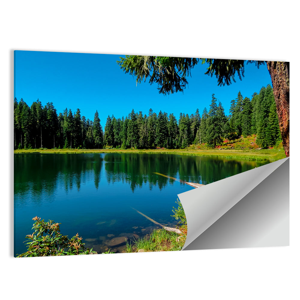 Parrish Lake Reflection Wall Art