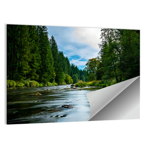 Bavarian Forest River Wall Art