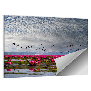 Red Lotus Lake Wall Art