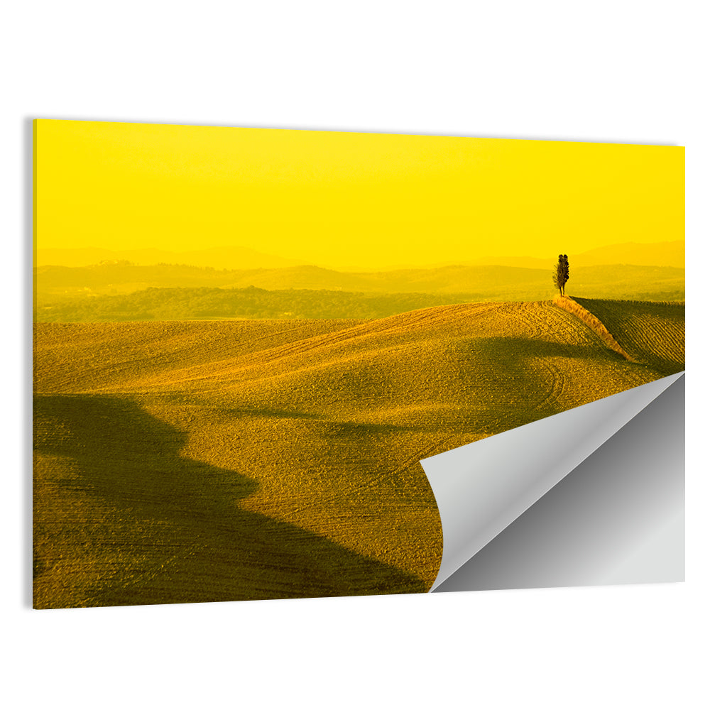 Cypress on Tuscan Hills Wall Art