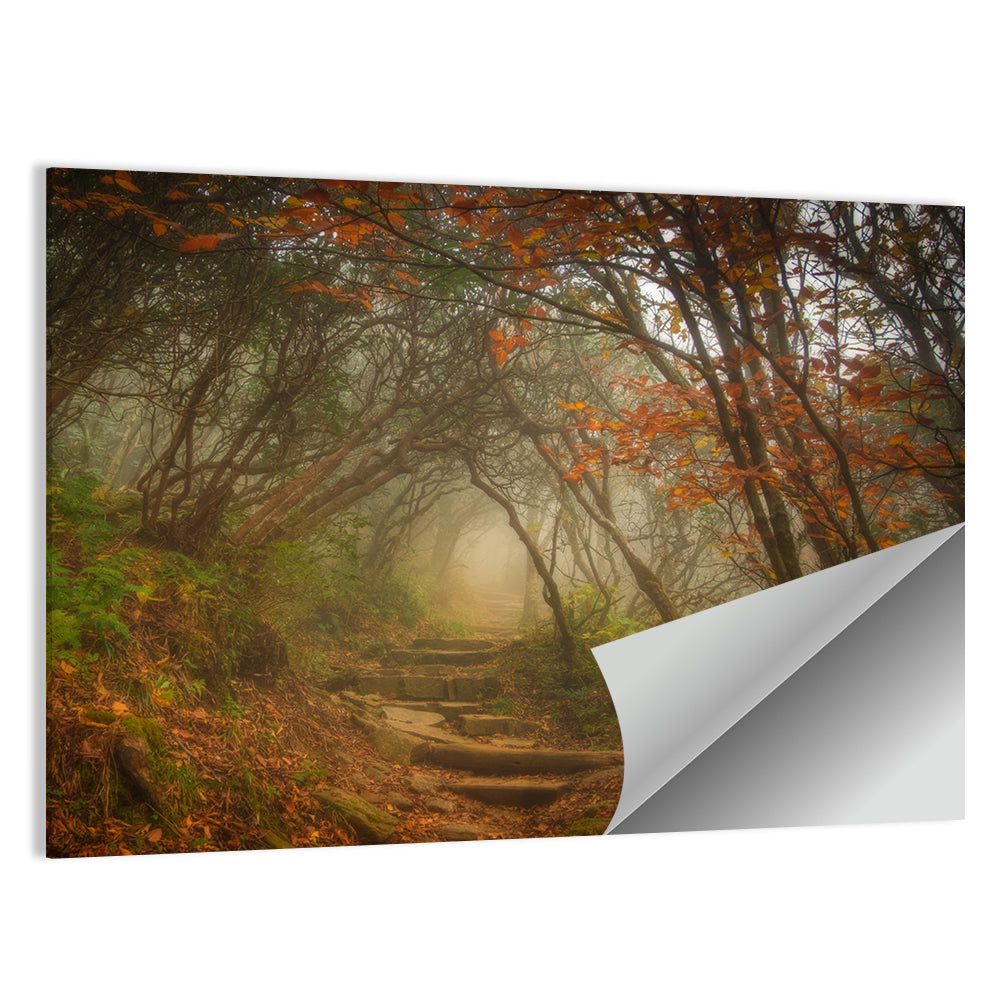 Craggy Garden Path Wall Art