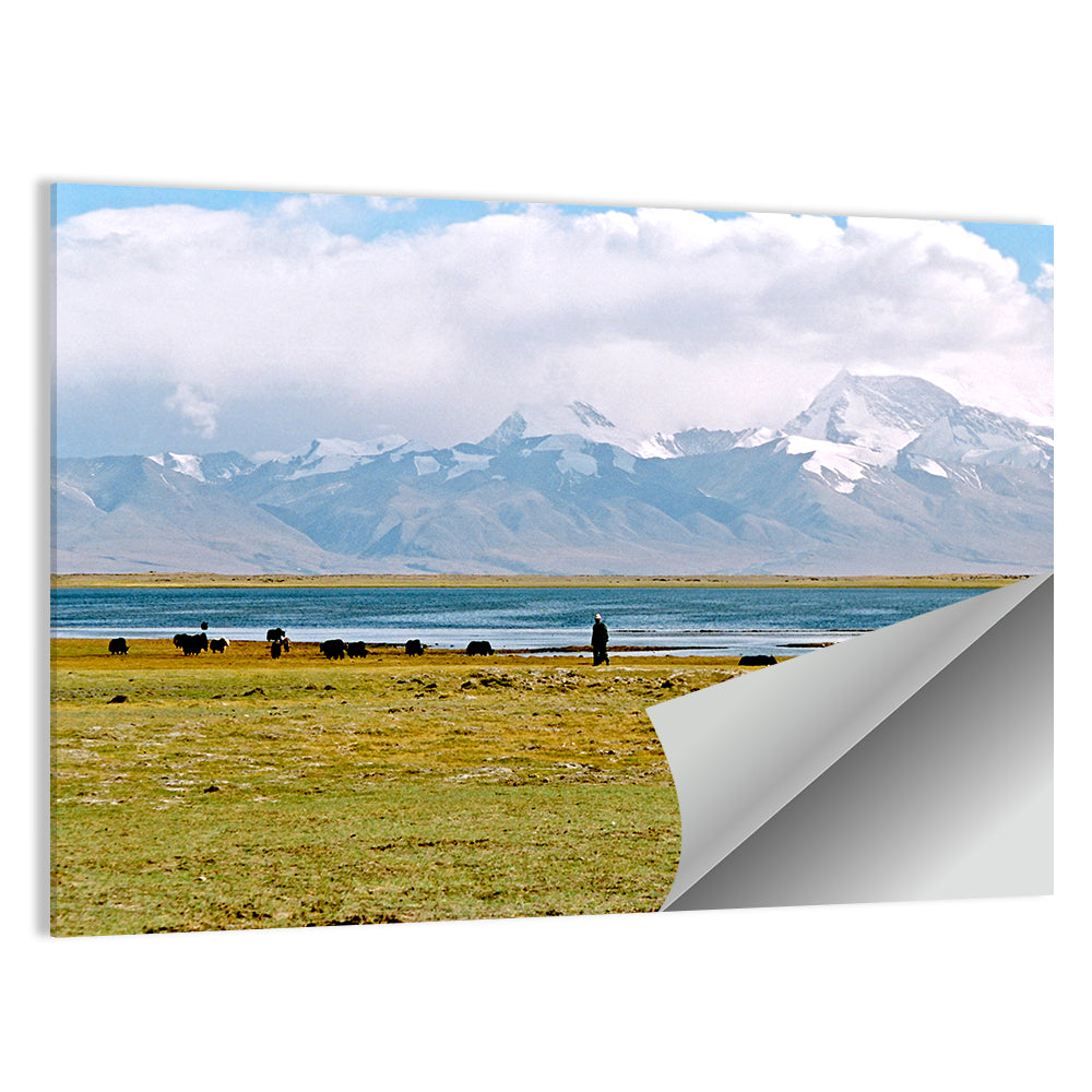 Mount Kailash from Lake Manasarovar Wall Art