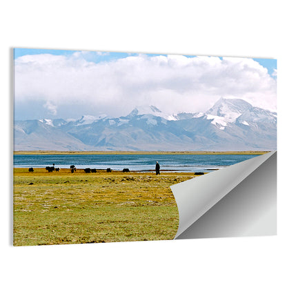 Mount Kailash from Lake Manasarovar Wall Art