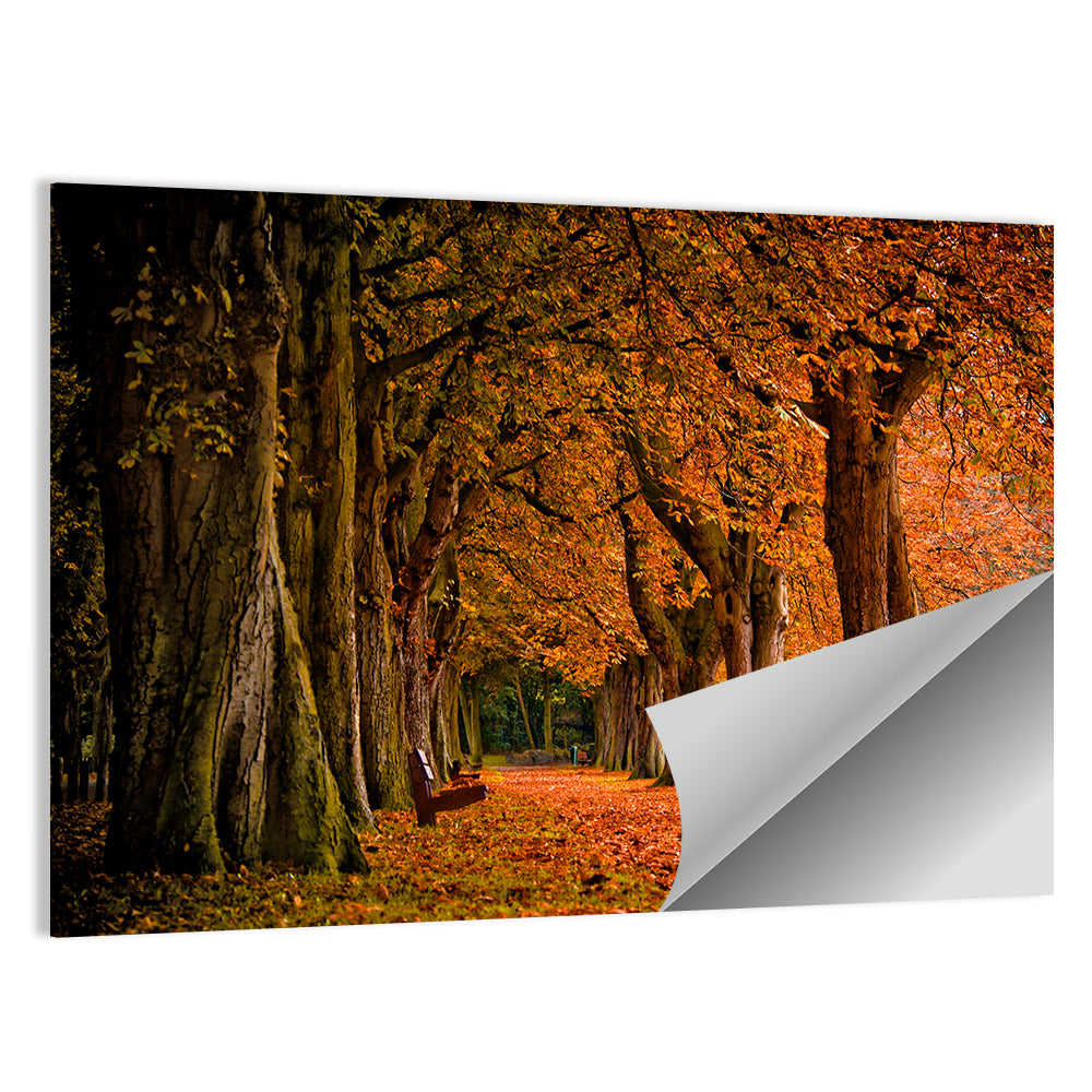Autumn Forest Pathway Wall Art