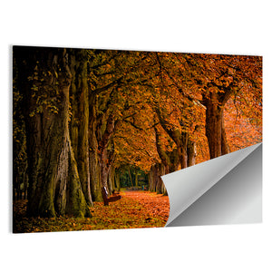 Forest Autumn Pathway Wall Art