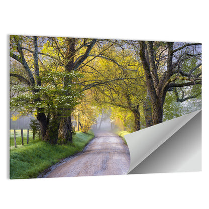 Sparks Lane, North Carolina Wall Art