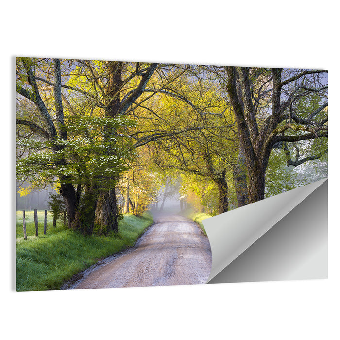 Sparks Lane, North Carolina Wall Art as a poster print