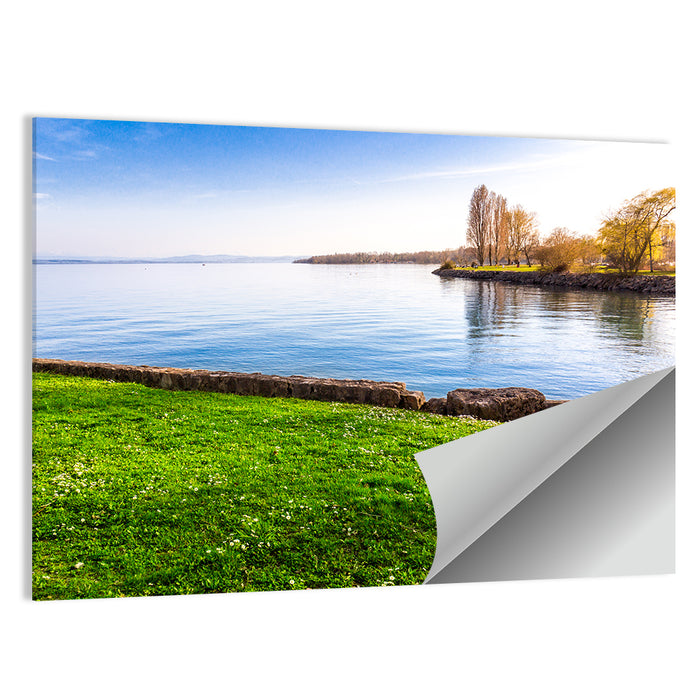 Lake Neuchatel Meadow Wall Art as a poster print