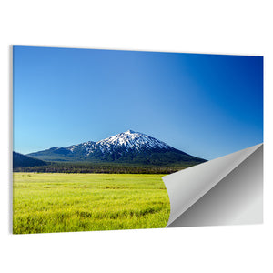 Mount Bachelor Wall Art