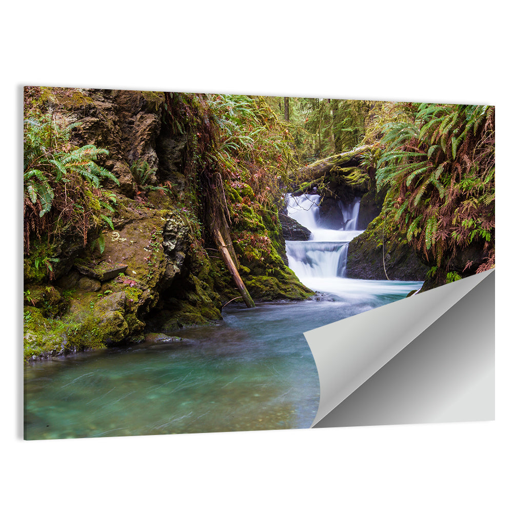 Willaby Creek Waterfall Wall Art