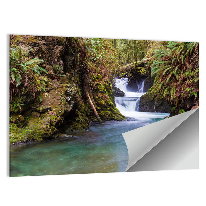 Willaby Creek Waterfall Wall Art as a poster print