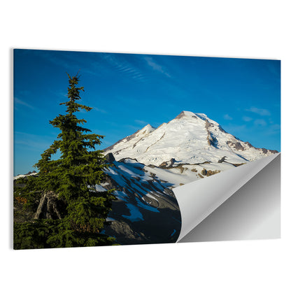 Mount Baker Wall Art