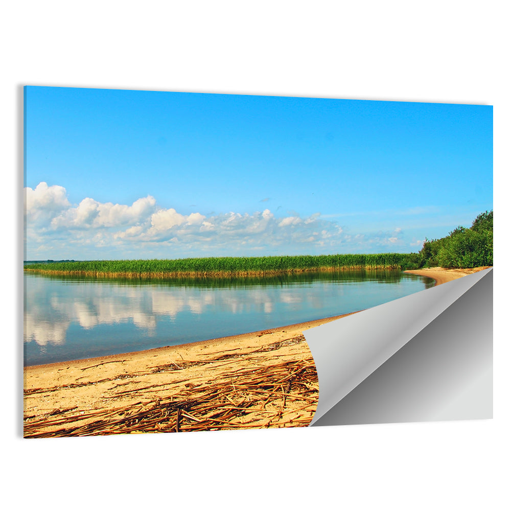 Lake Pskov Shoreline Wall Art