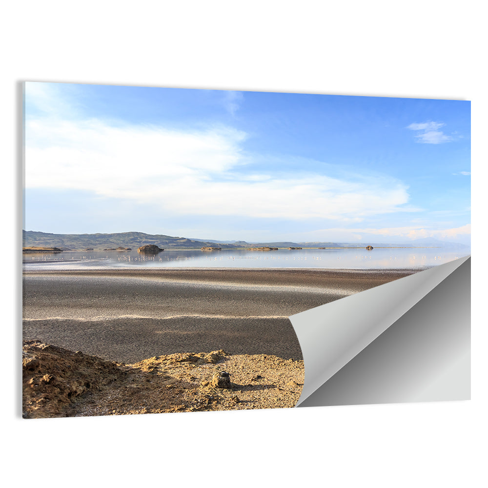 Lake Natron Flamingos Wall Art