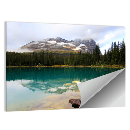 Lake O Hara Mountain Reflection Wall Art