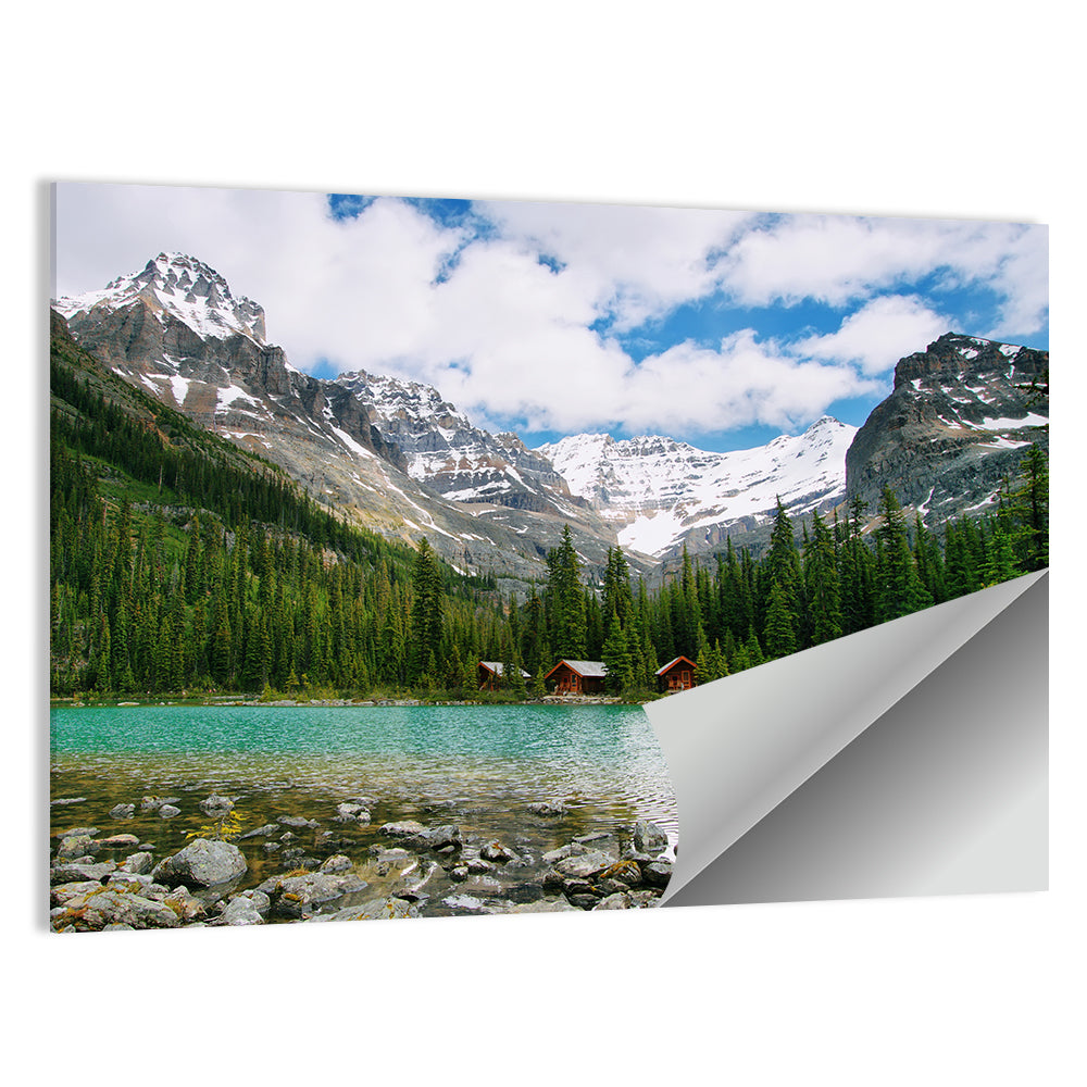 Lake O'hara Wall Art