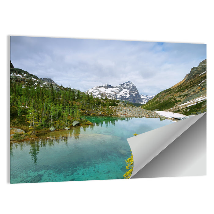 Lefroy Lake Wall Art as a poster print