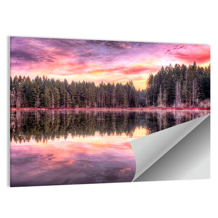Sunrise Reflection at Forest Lake Wall Art as a poster print