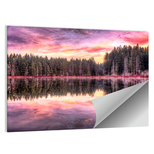 Forest Lake Sunrise Wall Art