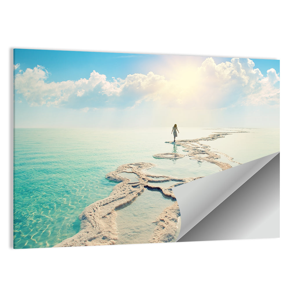 Dead Sea Salt Flats Wall Art