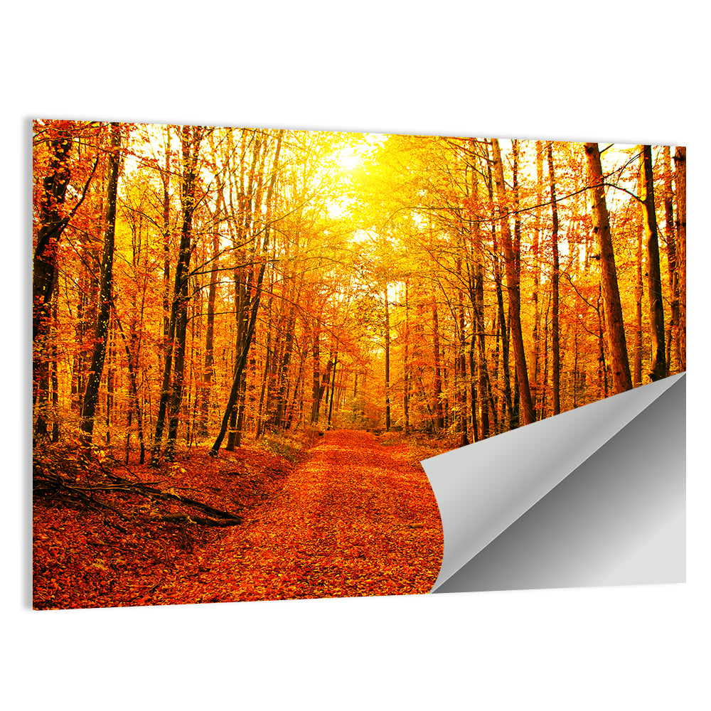 Golden Autumn Forest Path Wall Art