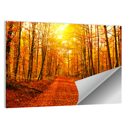 Golden Autumn Forest Path Wall Art