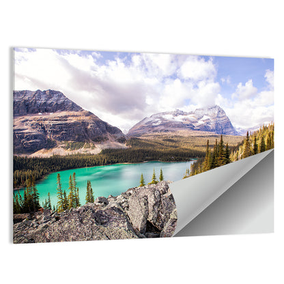 Lake Ohara Rocky Shore Wall Art