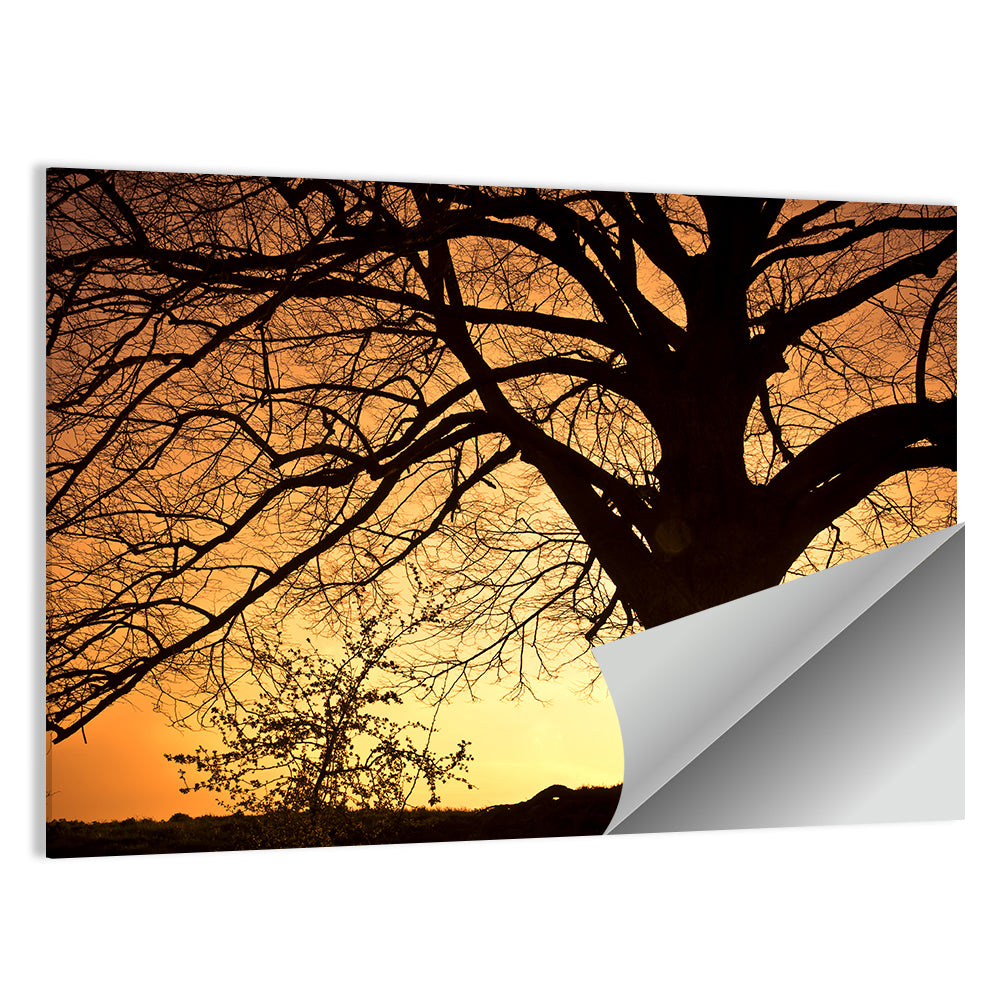 Willow Tree Sunset Wall Art