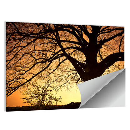 Willow Tree Sunset Wall Art