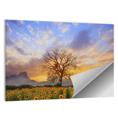 Sunflower Field at Sunset Wall Art