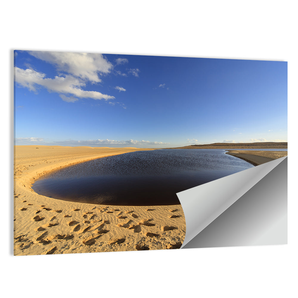 Fayoum Lake Footprints Wall Art