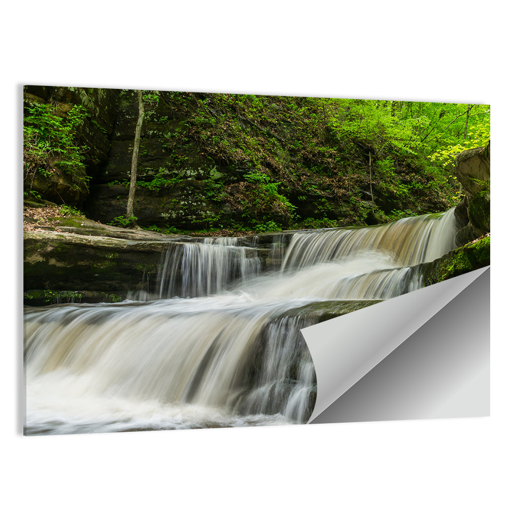 Matthiessen Forest Cascade Wall Art