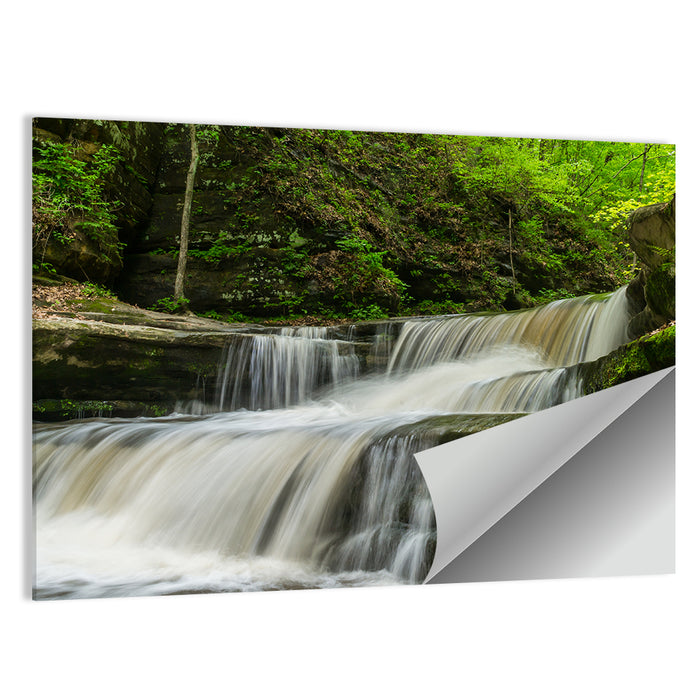 Matthiessen Forest Cascade Wall Art as a poster print
