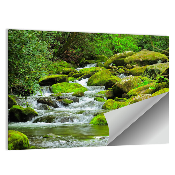 Cascading Mountain Stream Wall Art as a poster print