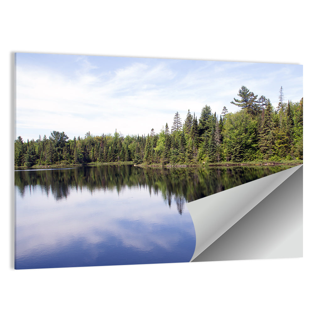 Peck Lake Shoreline Reflection Wall Art