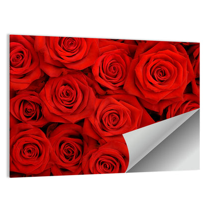 Red Roses Close Up Wall Art