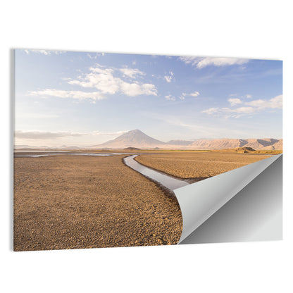 Lake Natron with Ol Doinyo Lengai Wall Art