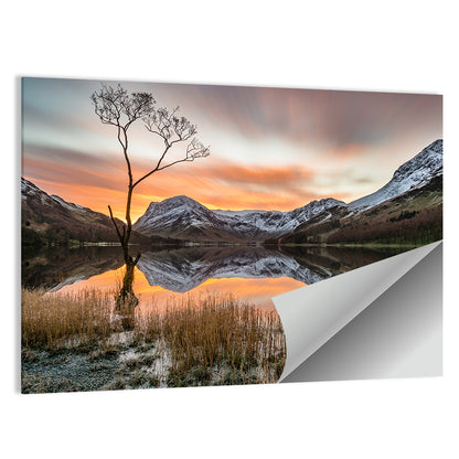 Lonesome Pine, Ullswater Sunrise Wall Art