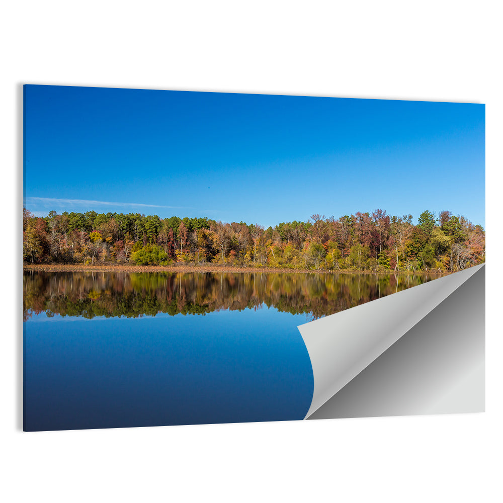 Petit Jean Lake Reflection Wall Art
