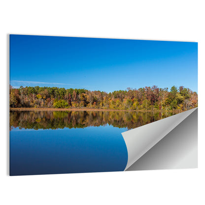 Petit Jean Lake Reflection Wall Art