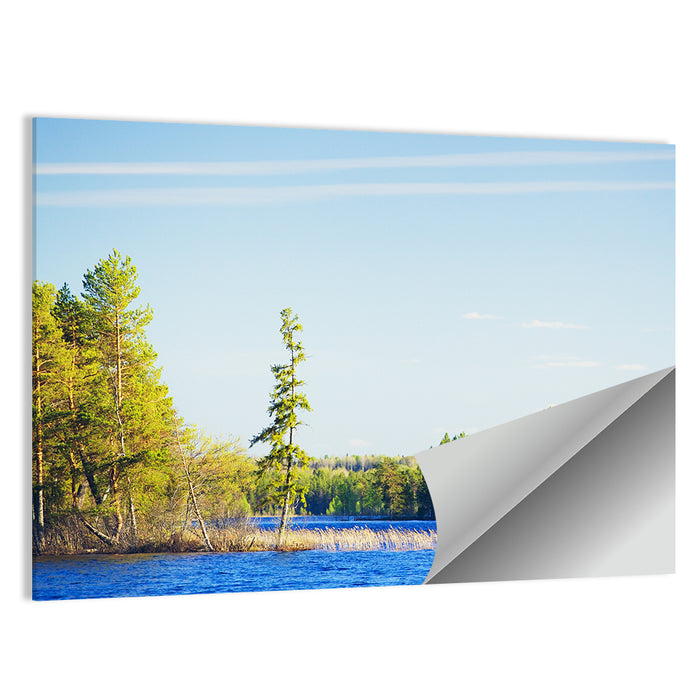 Summer Forest Lake Shoreline Wall Art as a poster print
