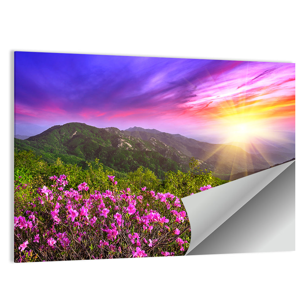 Hwangmaesan Mountain Sunset Wall Art