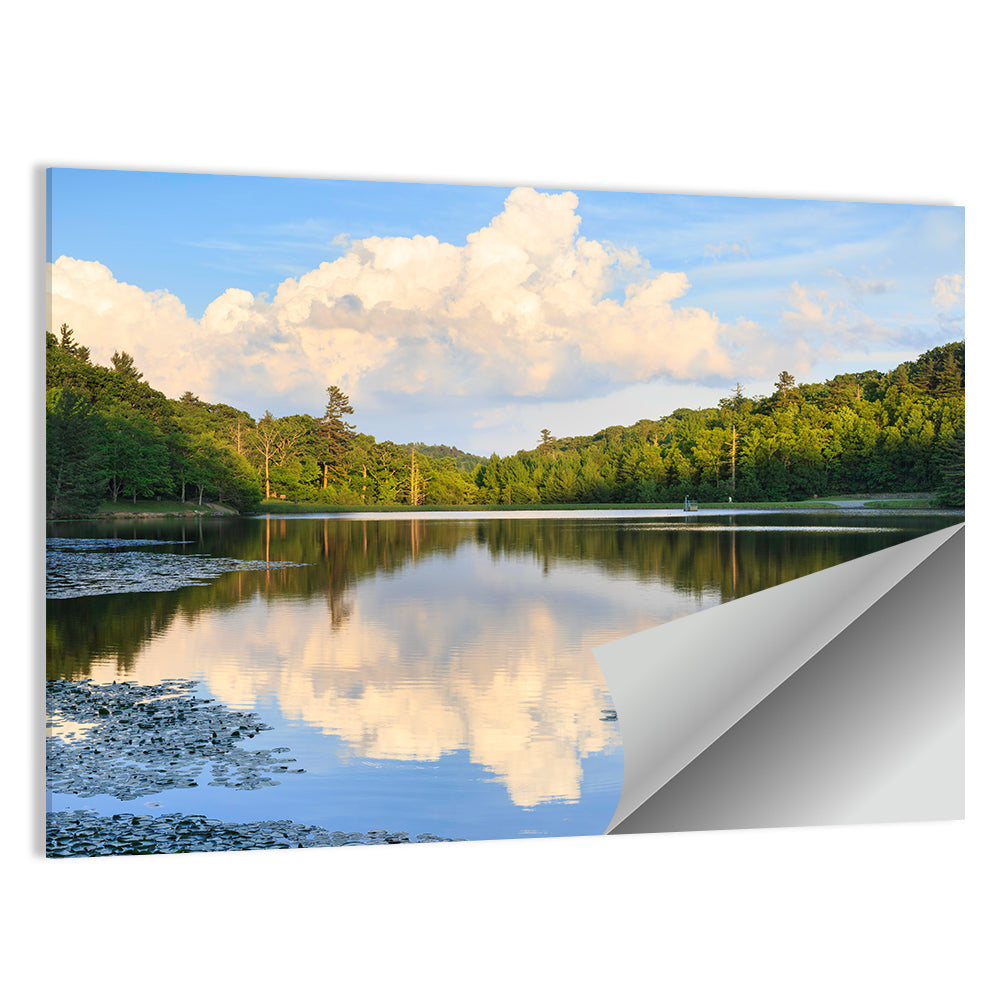 Bass Lake Reflection Wall Art