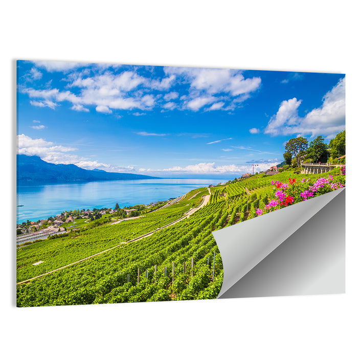 Lavaux Vineyard Terraces Over Lake Geneva Wall Art as a poster print
