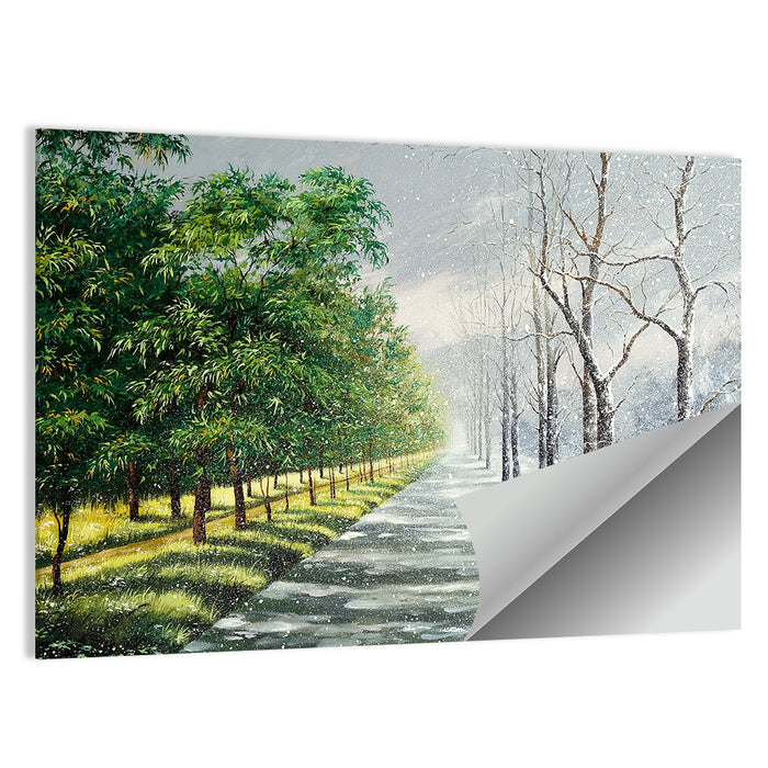 Summer to Winter Forest Path Wall Art as a poster print