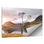 Buttermere Lone Tree at Dusk Wall Art